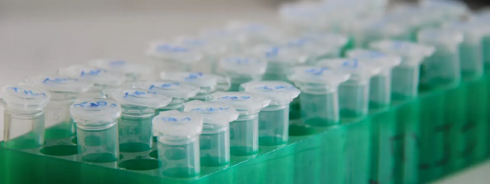 Ochre Bio : une application de recherche ouverte à des laboratoires pharmaceutiques