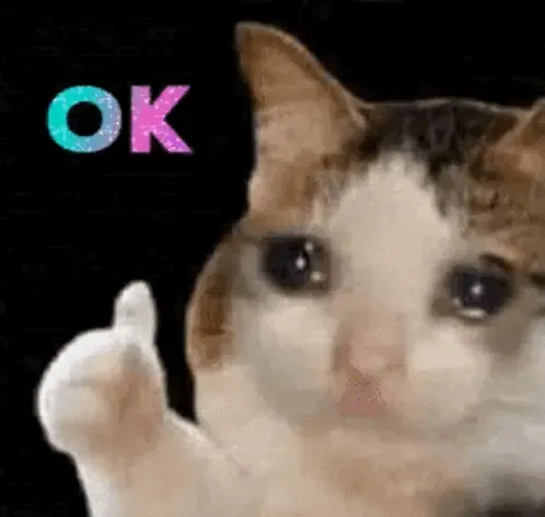 Meme de chat qui pleure avec un doigt levé