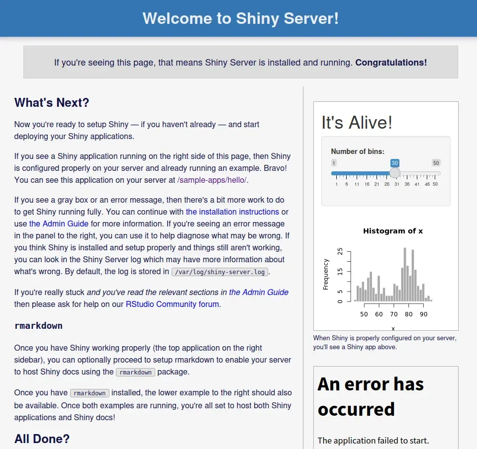 Shiny Server default