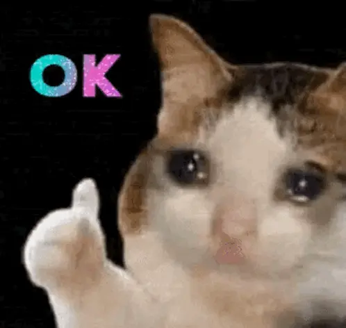 Meme of cat crying with a thumbs up