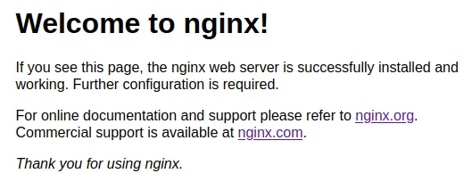 Nginx Welcome page