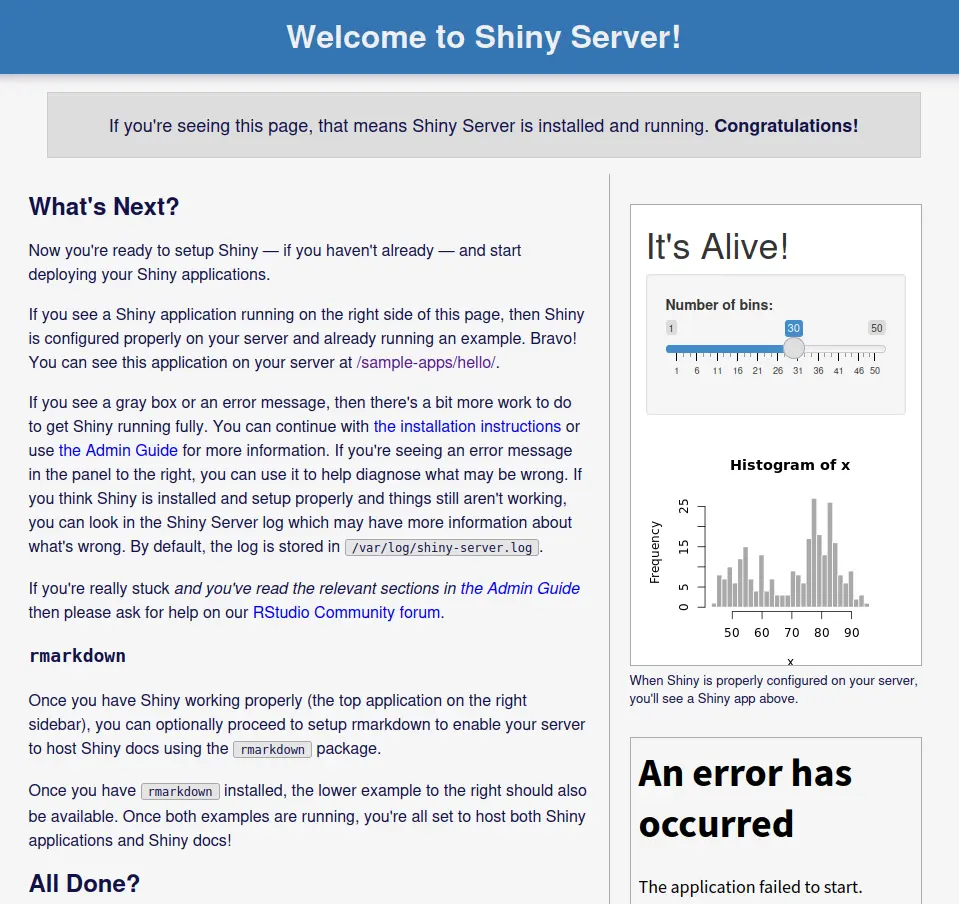 Shiny Server default
