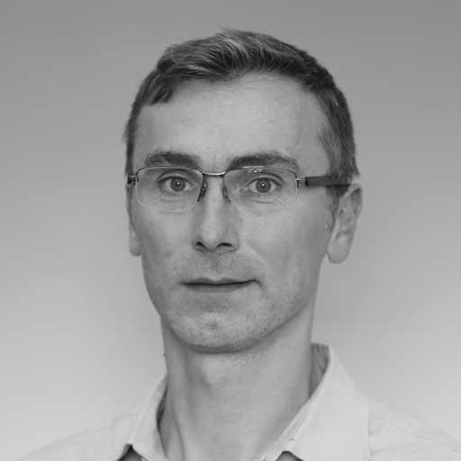 Daniel Finke, Professor of Policital Science - Aarhus University